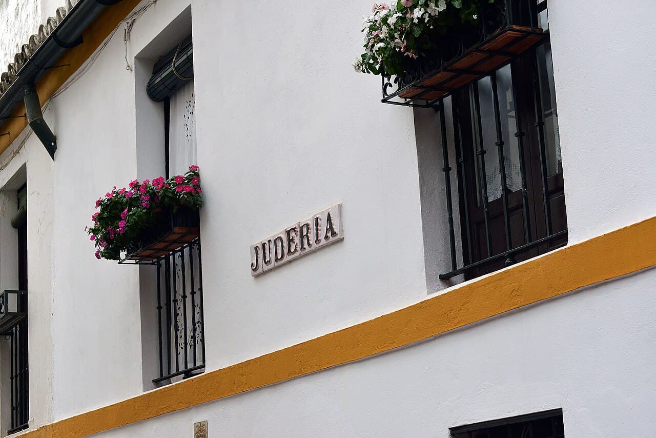 Featured - Santa Cruz